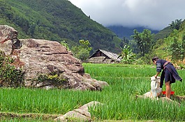 越南,亞洲,旅行