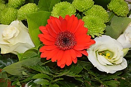 花,植物,插花