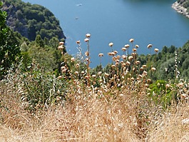 风景,景观,自然