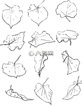 葉,葉子,自然