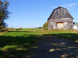 原野,老,谷仓