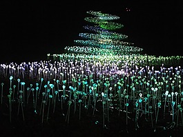 燈,景區(qū),顏色