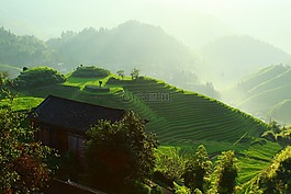 景觀,太陽,日出