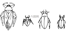 甲蟲,甲蟲，昆蟲,昆蟲