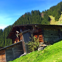 高山小屋,阿爾姆,山上的小屋