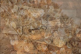 字母,手寫輸入,關(guān)鍵