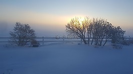 冬天,霧太陽,雪