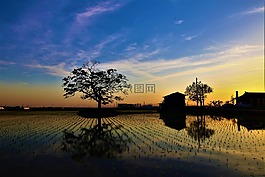 農(nóng)村,日落,木材