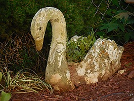 院子里藝術(shù),天鵝,鳥