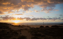 海灘,夏季,夏天