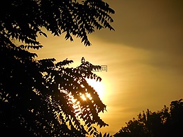 日出,金,天空