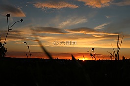日落,傍晚的天空,草地