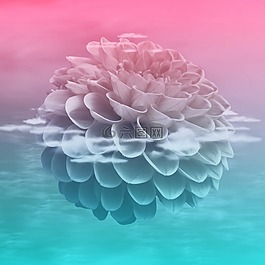 花,開(kāi)花,性質(zhì)