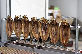 鯡魚,腌魚,魚