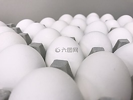 雞蛋,特寫(xiě),白