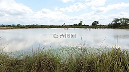湖,沼澤,風(fēng)景