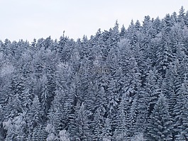 硬霜,山,雪