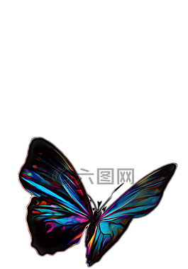 蝴蝶,昆蟲,夏天