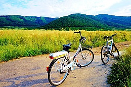 自行車,騎自行車,循環(huán)