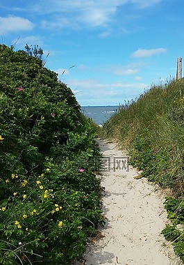 wangerooge,沙丘,孤单