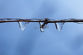 枝杈,冷,水晶