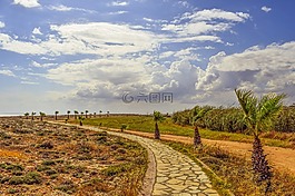沿海路徑,棕櫚樹(shù),海