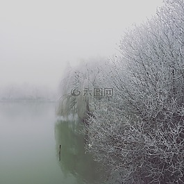 湖,冬天,冷