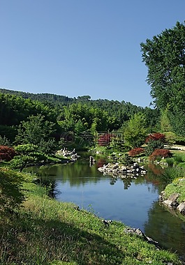 池,自然,景觀