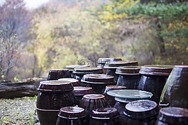 jar,秋季,存儲