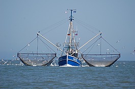 北海,刀具,漁船