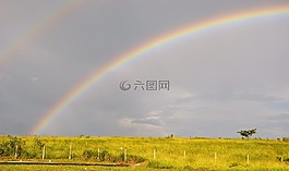 景观,雨,巴西