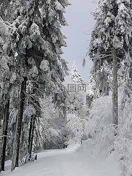 冬天,雪,冰