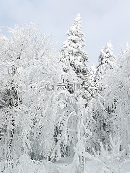 冬天,雪,冰