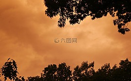 多彩,云,樹
