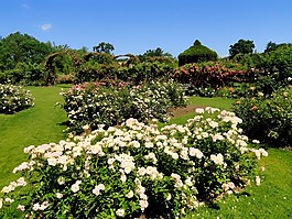 伊麗莎白公園,哈特福德,康涅狄格州