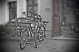 自行車,購物車,車輪