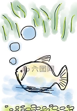魚(yú),水,池