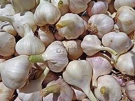 大蒜,蔬菜,食品