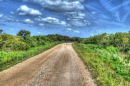 路徑,路,旅行