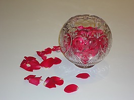 玫瑰花瓣,鮮花,花