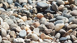 石頭,鵝卵石,海