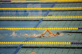 泳,游泳池,游泳運動員