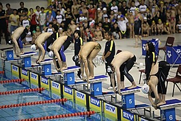 泳,游泳池,游泳運動員