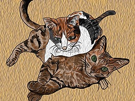 加塔,动物,猫