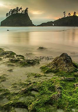 生活,美,現(xiàn)場