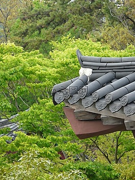 傳統(tǒng),屋面瓦,景觀