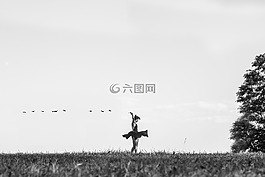 舞蹈家,夫人,原野