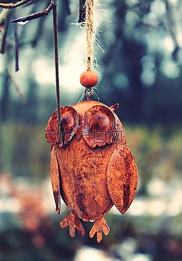 貓頭鷹,裝飾,可愛(ài)