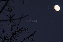 冬天,月球,月光