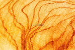 橄欖木,木,糧食